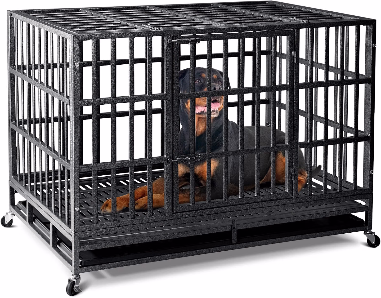 Dog resting comfortably inside a dog crate